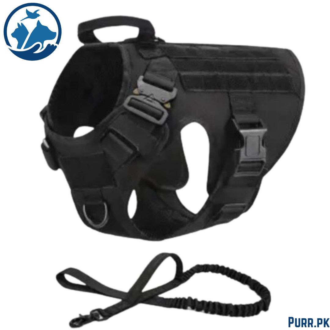 Full Body Security Dog Harness