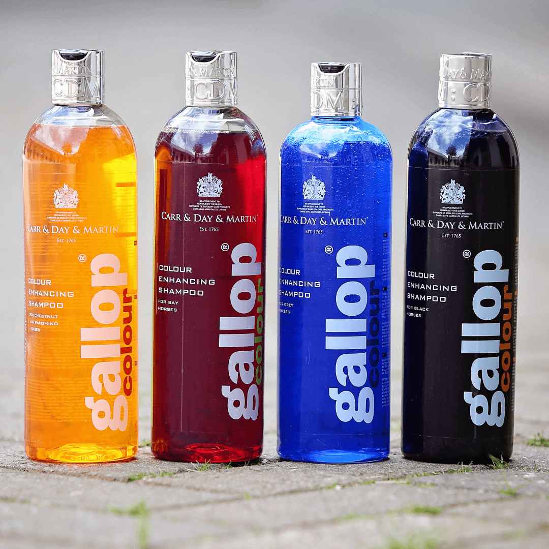 Carr & Day & Martin Gallop Color Enhancing Shampoo
