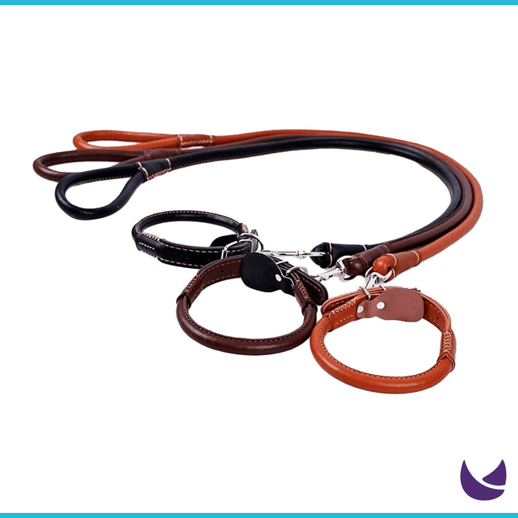 PU Leather Leash and Collar Set