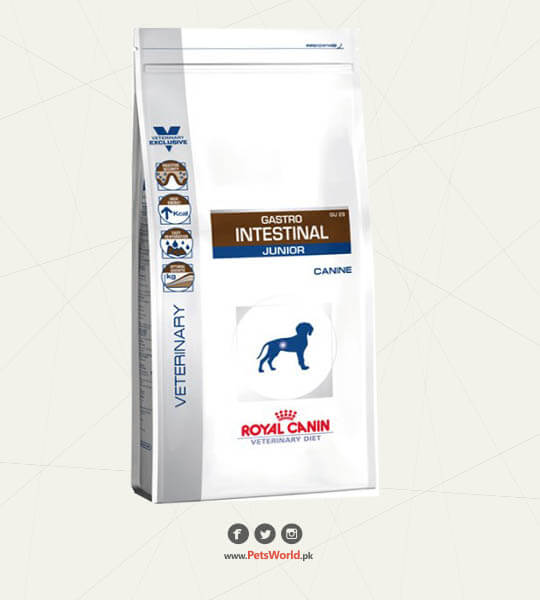 Royal Canin Gastro Intestinal Junior