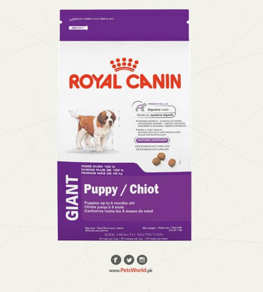 Royal Canin Giant Puppy Food – PetsWorld