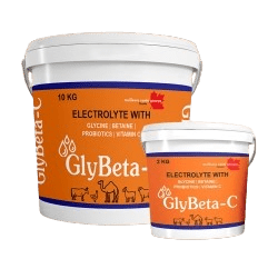 GlyBeta-C (Vitamin C with Electrolytes) 10kg