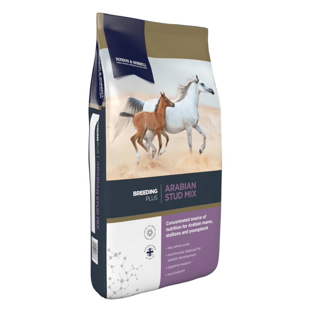 ARABIAN STUD MIX-20-KG-D&H UK | Breeding Feed | Al Zarrab