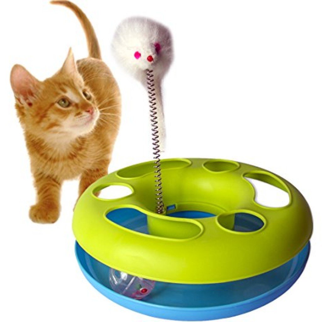Cat Playing Happy Circle