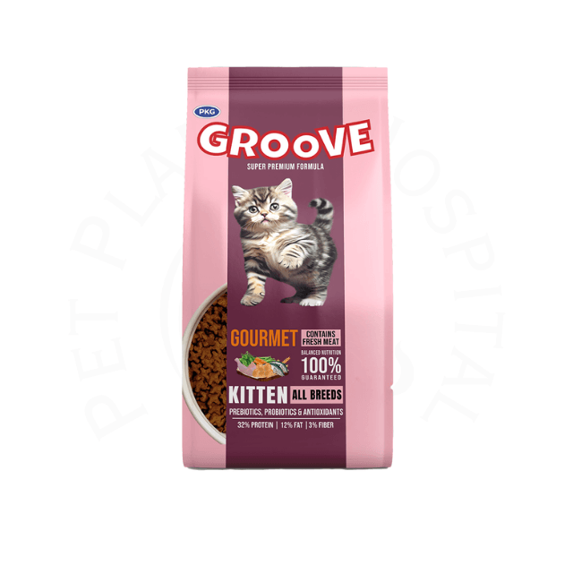 Groove Kitten Chicken Growth Nutrition