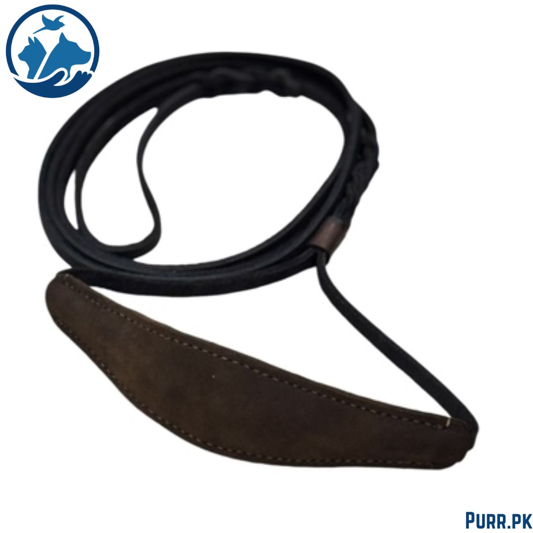 GSD Leather Leash With Neck Collar