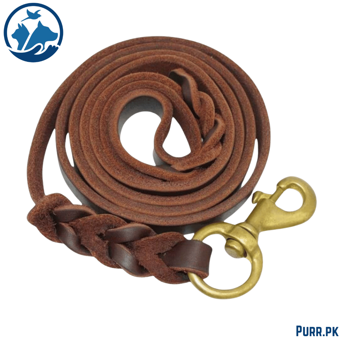 GSD Leather Leash