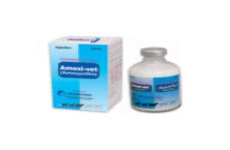 Amoxi-vet / Injection (ICI) 100 ml