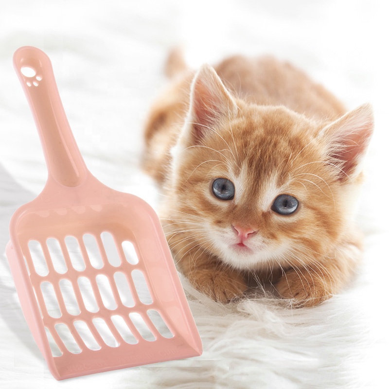 CAT SMALL SCOOP