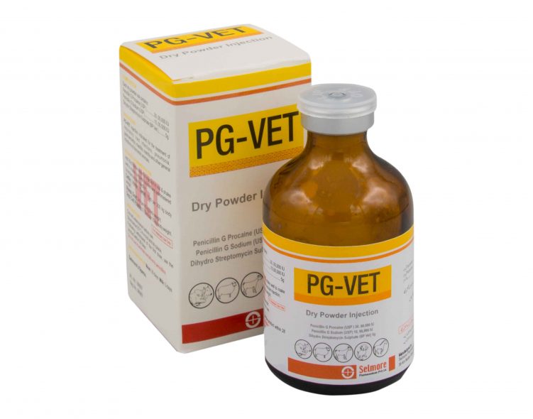 PG Vet