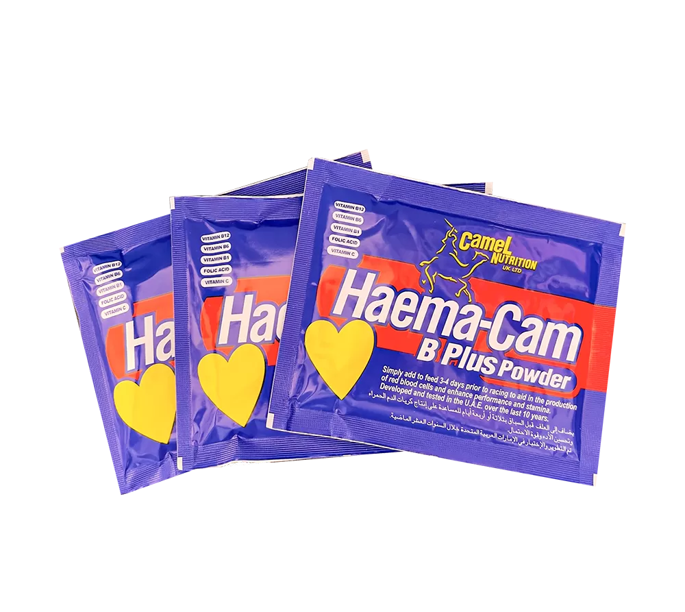 Haema-cam B plus powder 1 Sachet x 50gm