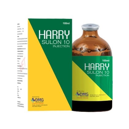 Harry Sulon 10