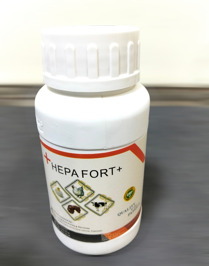 Hepta Fort liver tonic buy online