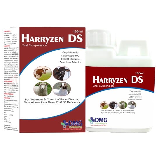 HARRYZEN DS