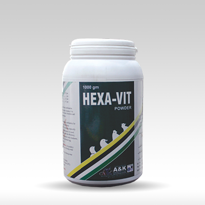 HEXA-VIT