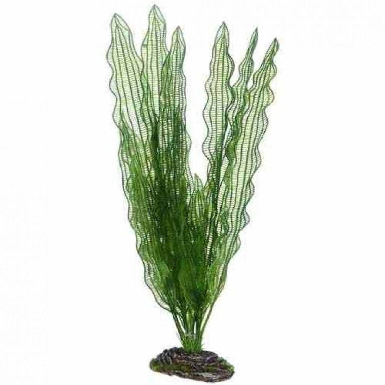 Hobby Artificial Plant - Aponogeton