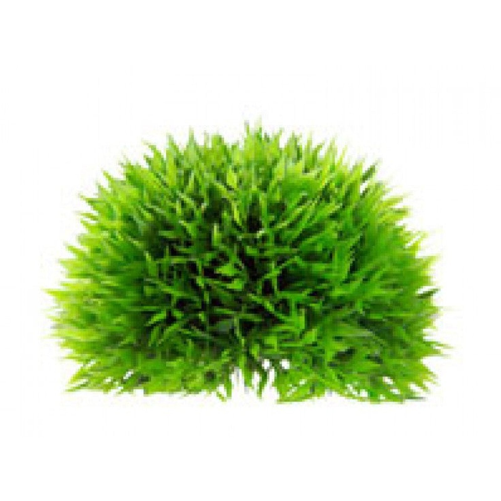 Hobby Artificial Plant - Plant Ball