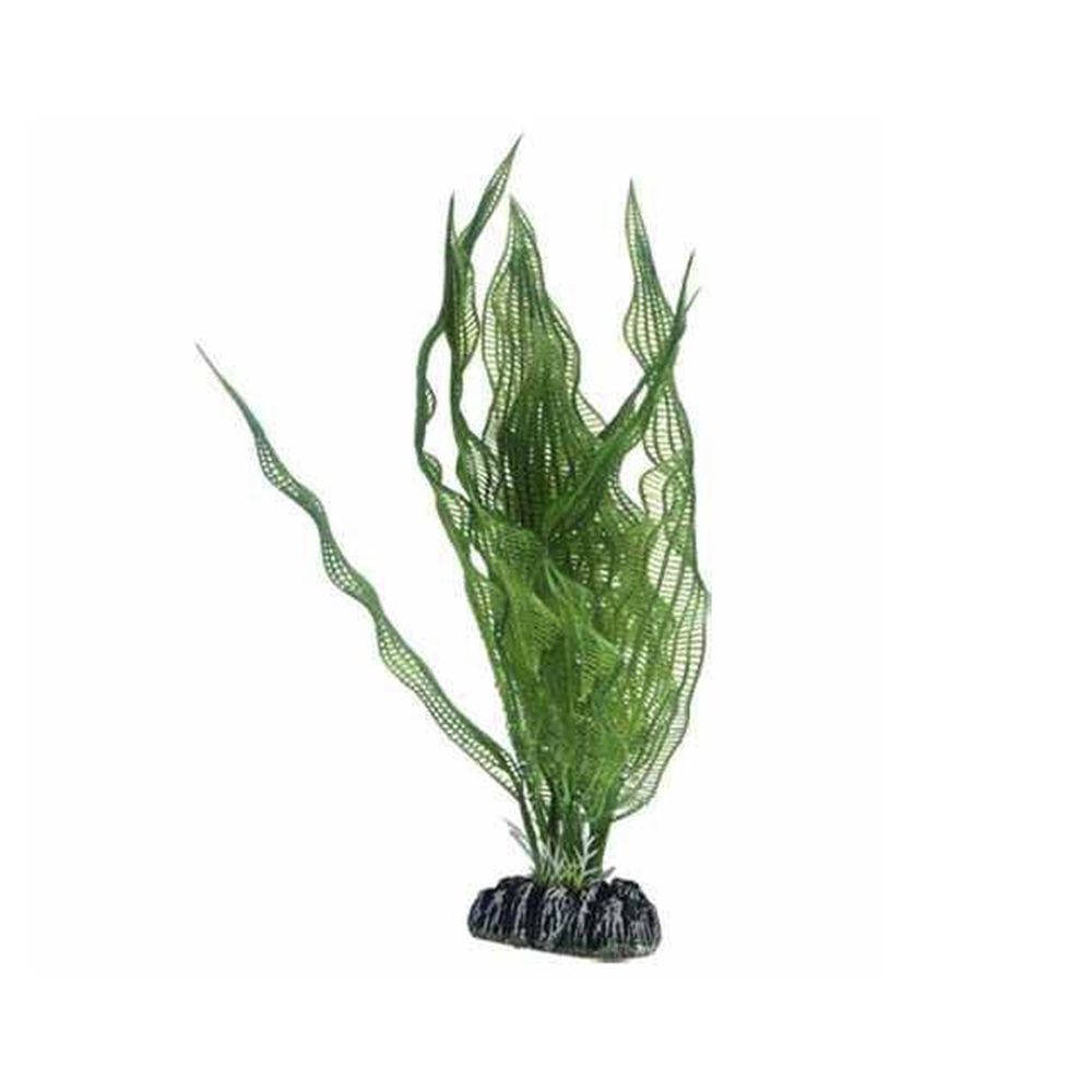 Hobby Aponogeton Artificial Plant
