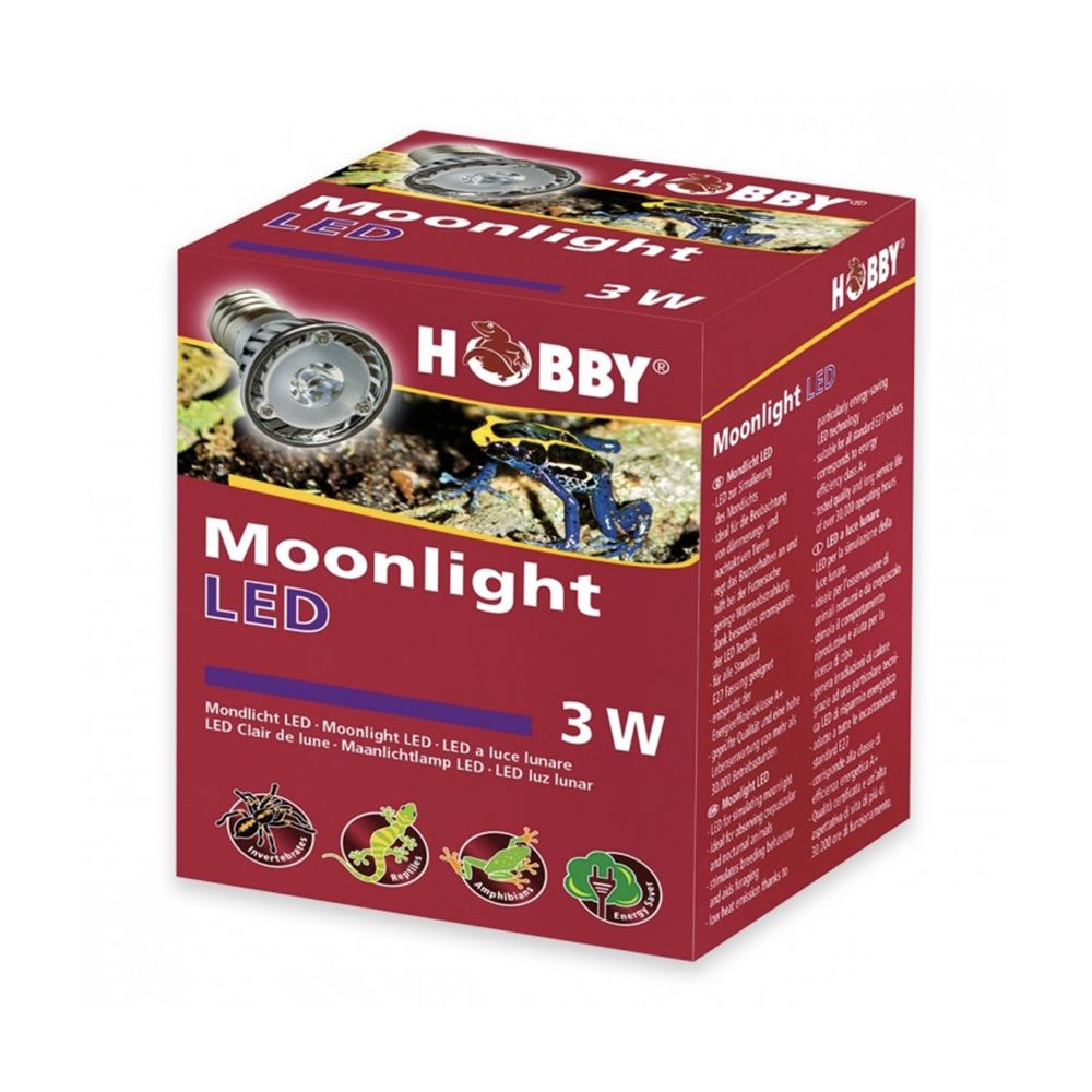 Hobby Moonlight LED