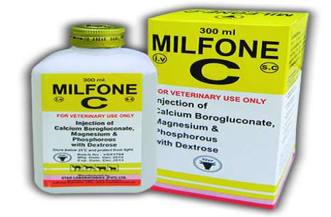 Mifone C