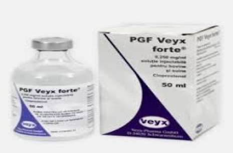 PGF VEYX ® 2,500 SOLUTION FOR INJECTION