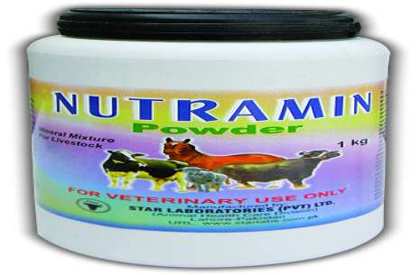 Nutramin Powder 1 kg