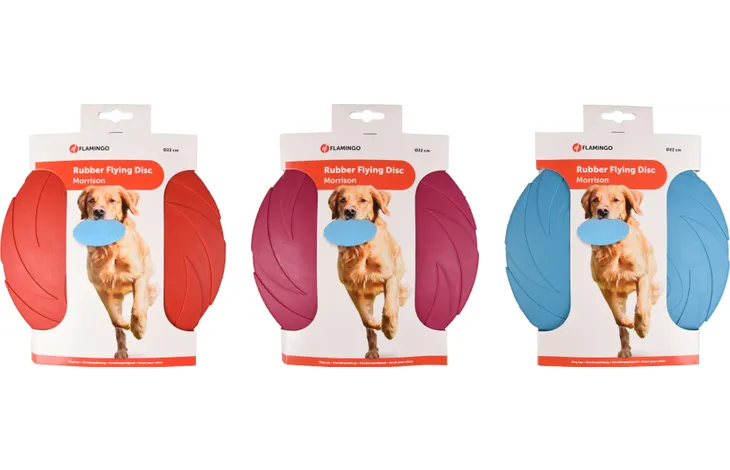 FRISBEE DISC 22CM