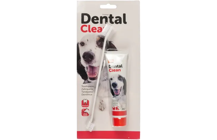 FLAMINGO DENTAL TOOTHPASTE & TOOTHBRUSH FOR DOGS 85G