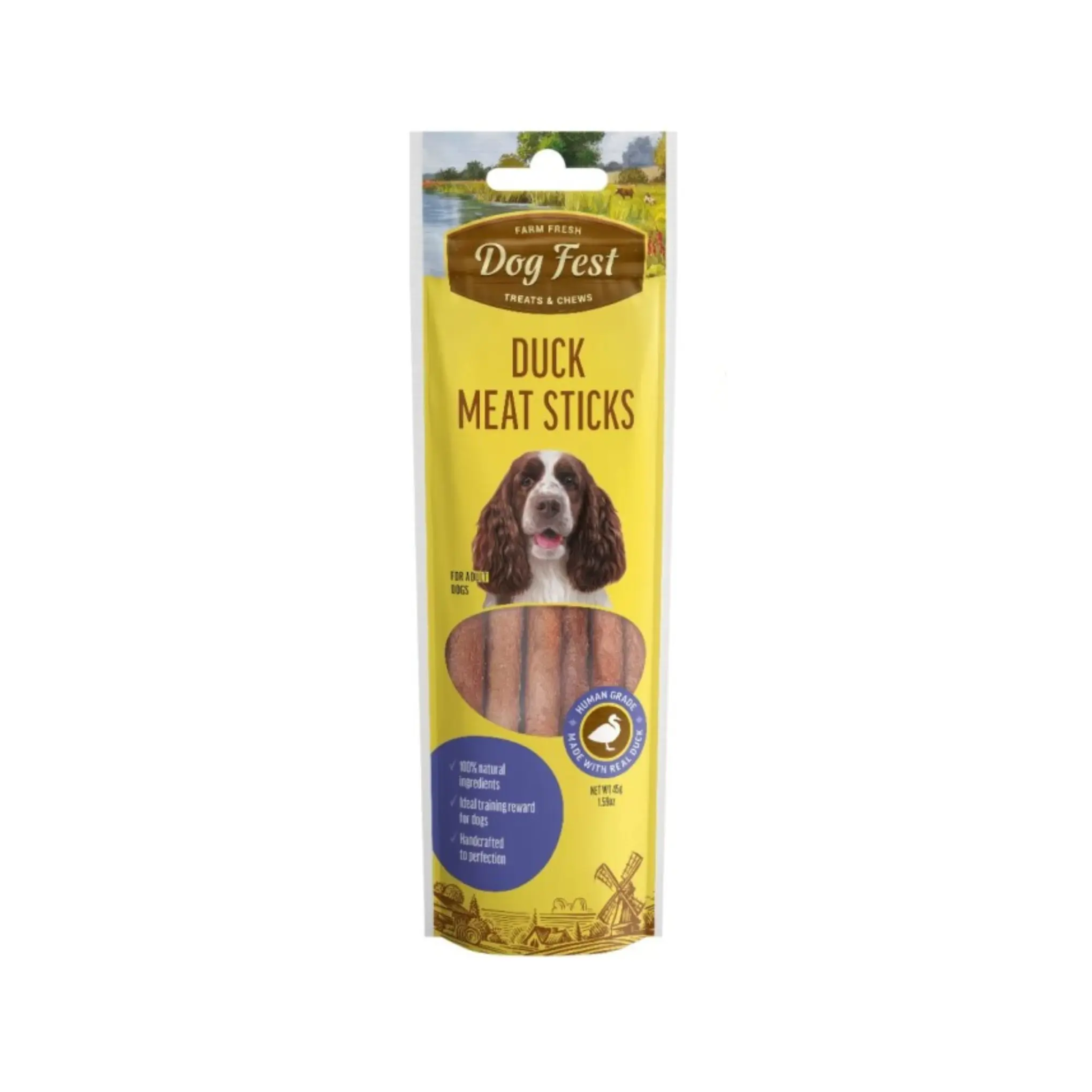 DOCO Jelly Bean Soft Nylon Dog Leash Blue - 5ft - XS