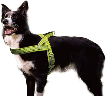 DOCO Vario Neoprene Reflective Dog Harness Green - XL