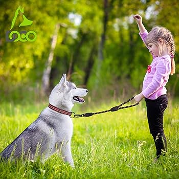 DOCO Reflective Traffic Rope Dog Leash Lemon - 20 Inch