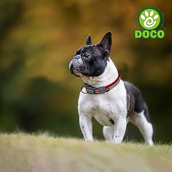 DOCO Vario Reflective Stitching O-Ring Dog Collar Red - L