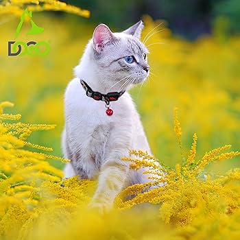 DOCO Reflective Safety Cat Collar Red - 1 Unit