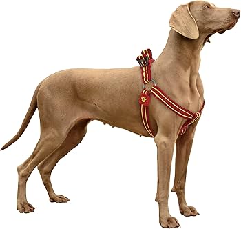 DOCO Solar Mesh Step-In Dog Harness Grey - L