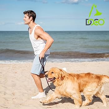 DOCO Reflective Rope Dog Leash Black - 5ft - S