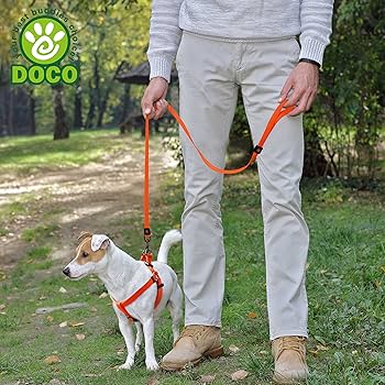 Doco Signature 4ft Blue Durable Nylon Dog Leash - Large
