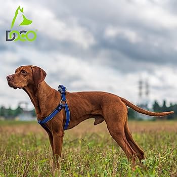 DOCO Athletica Air Step-In Dog Harness Blue - S