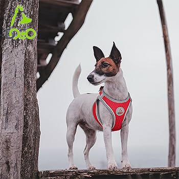 Doco Athletica Quick-V Breathable Mesh Dog Harness Lemon - XL