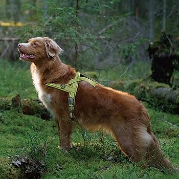 DOCO Vario Neoprene Reflective Dog Harness Pink - Small