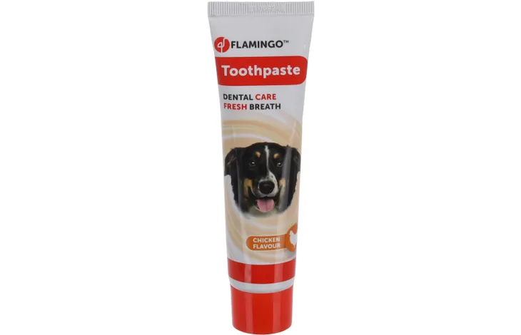 Flamingo Toothpaste Chicken Flavour 85G