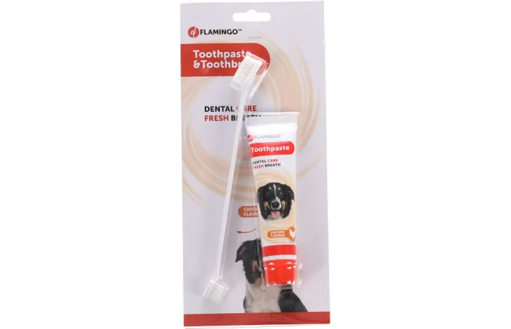 Flamingo Toothbrush & Toothpaste (Chicken Flavor) Bundle