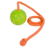 Ball with Rope-Activity Dog Toy for Rottweiler