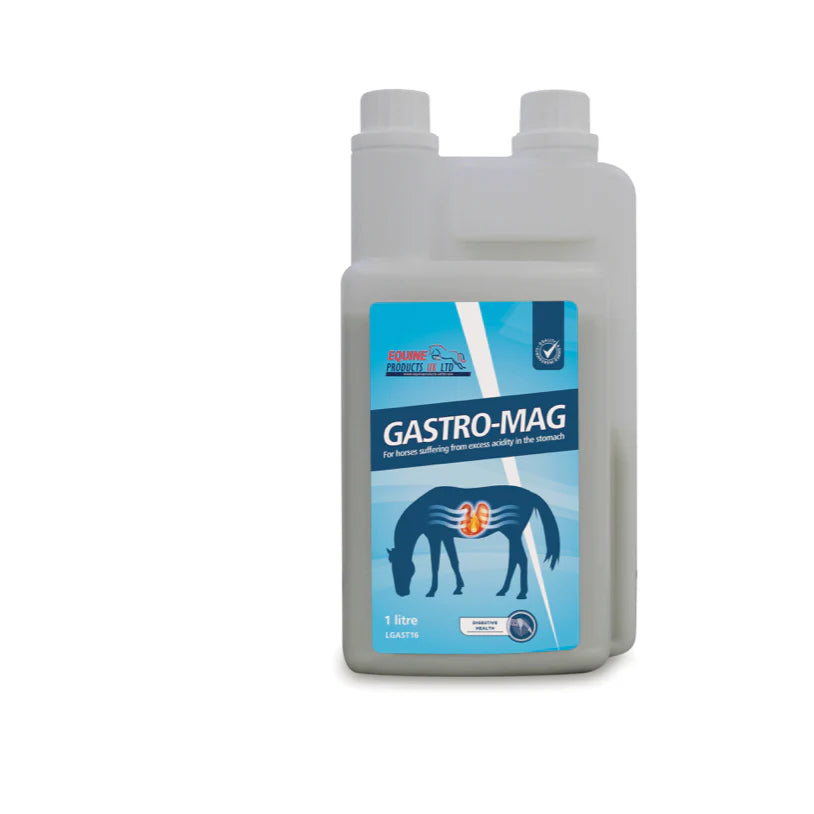 GASTRO-MAG 1Liter