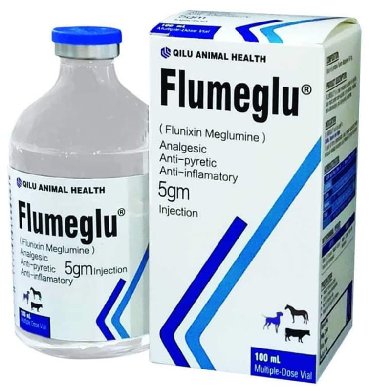 Flumeglu 100 ml