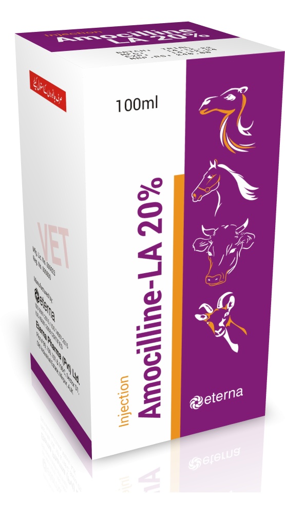 Amocilline 20%buy online in pakisatn