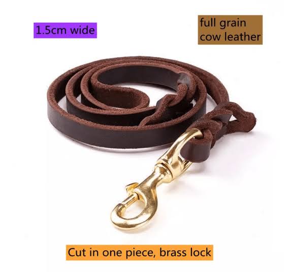 Gsd Leash Show Leashe 9ft