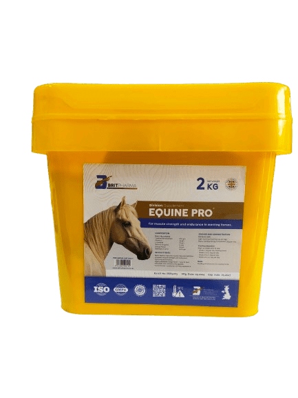 Equine PRO: Muscle & Performance Boost for Horses/Camels