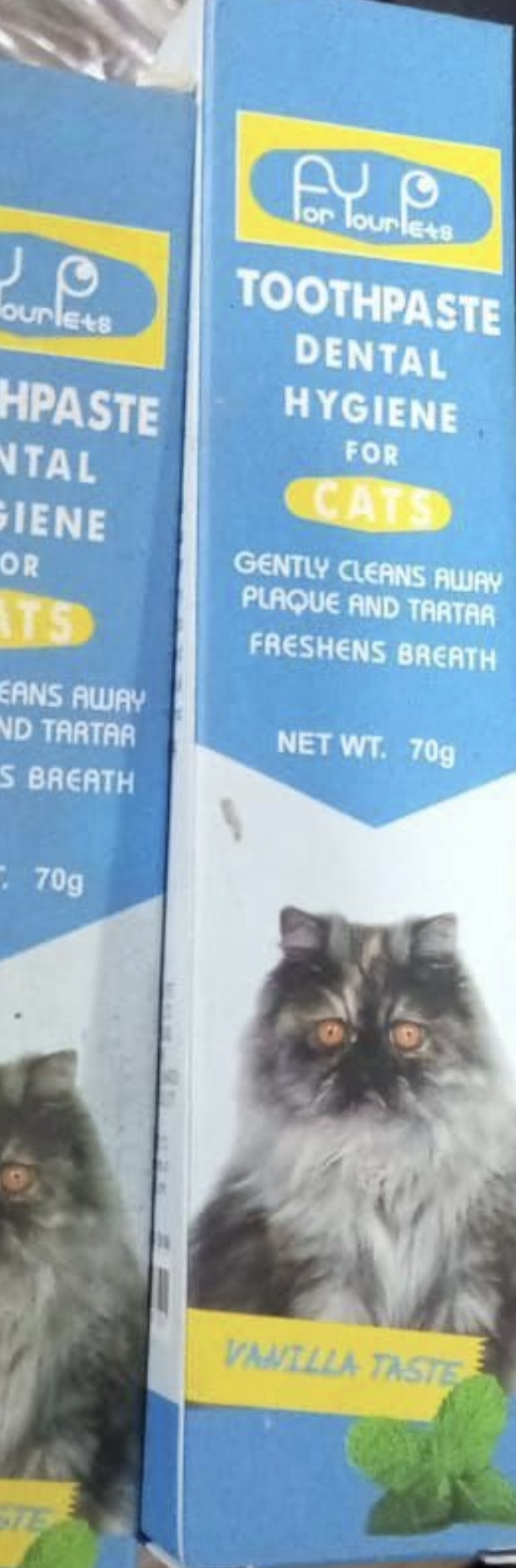 Toothpaste Cat Dental Hygiene