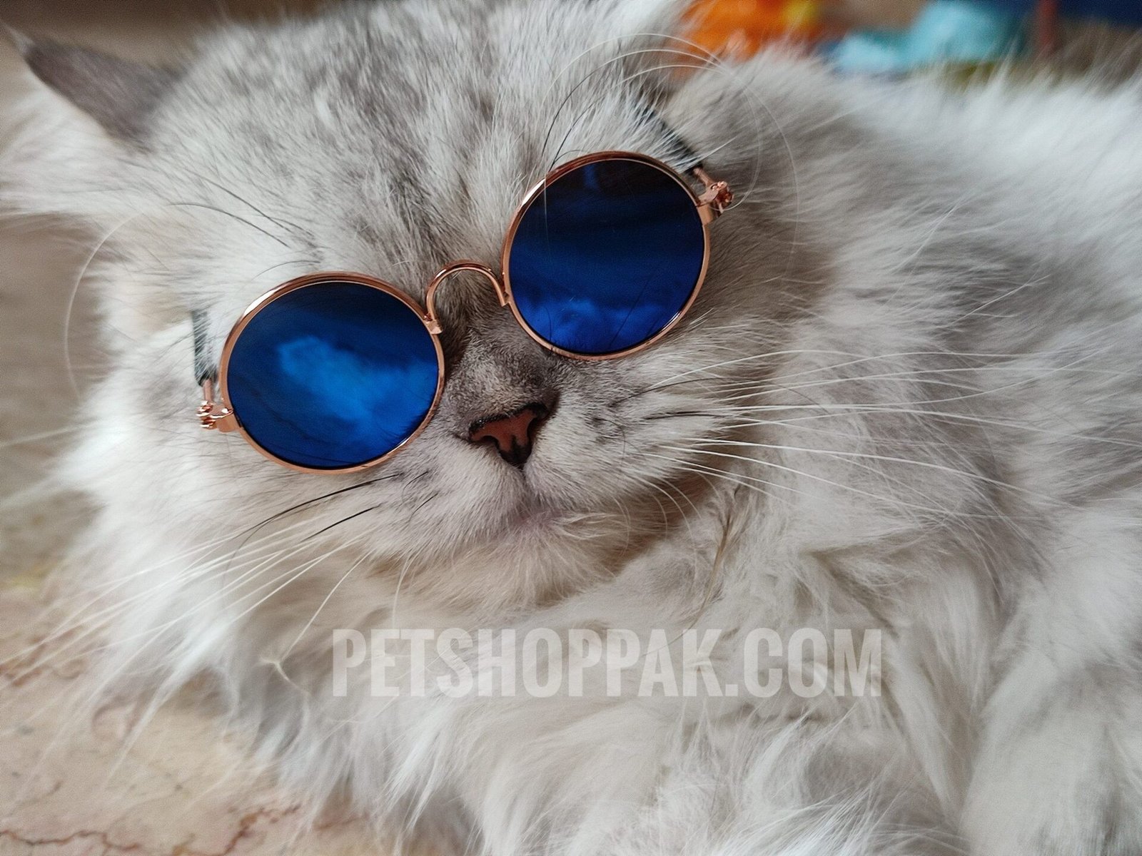 Pet Fashion Glasses