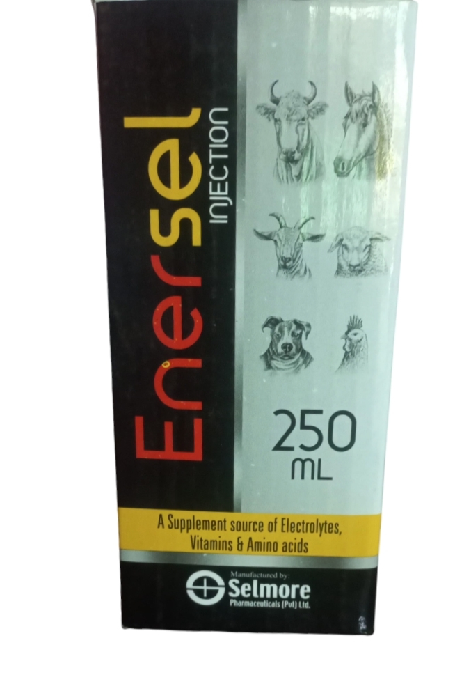 Enersel 250 ml buy online in pk